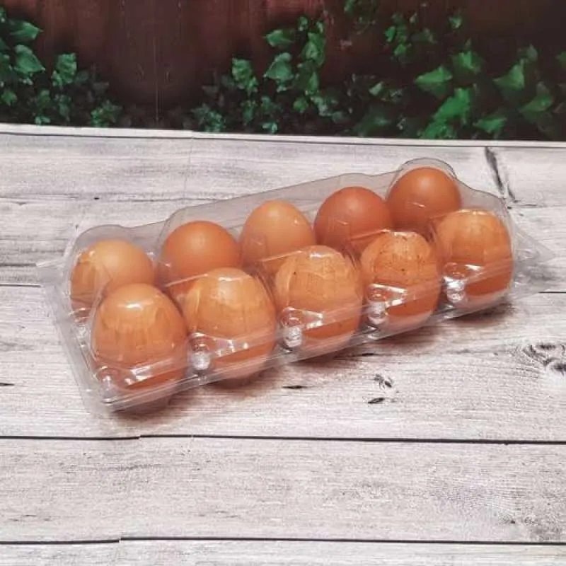 Telur Kemasan