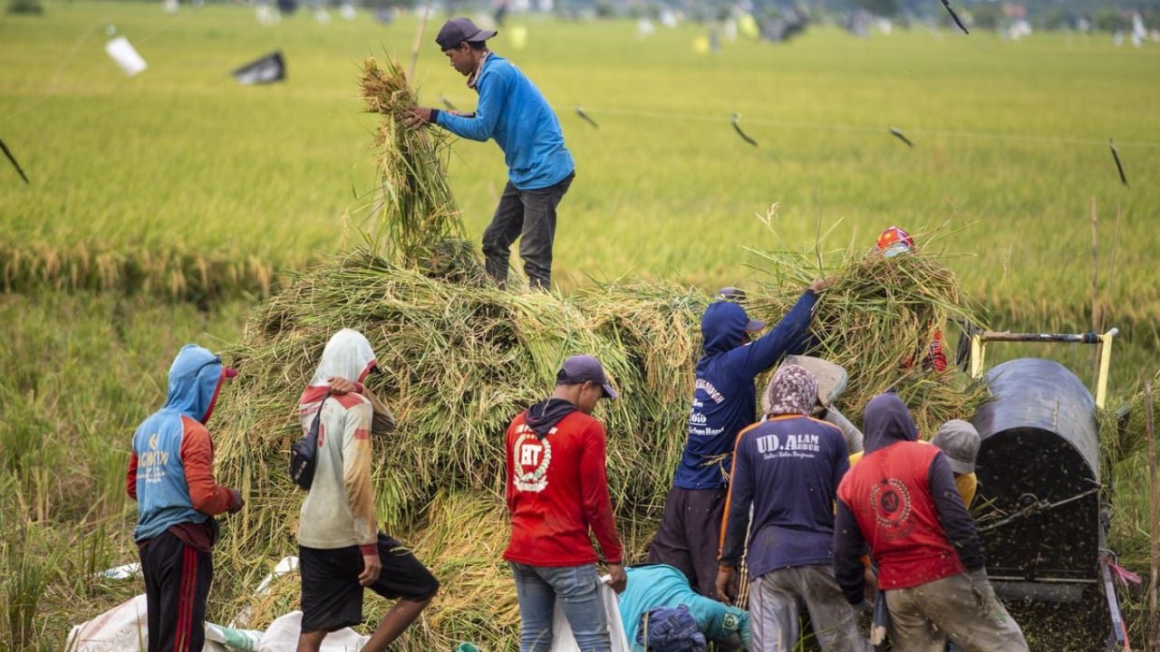 Aktivitas Petani